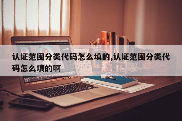 认证范围分类代码怎么填的,认证范围分类代码怎么填的啊