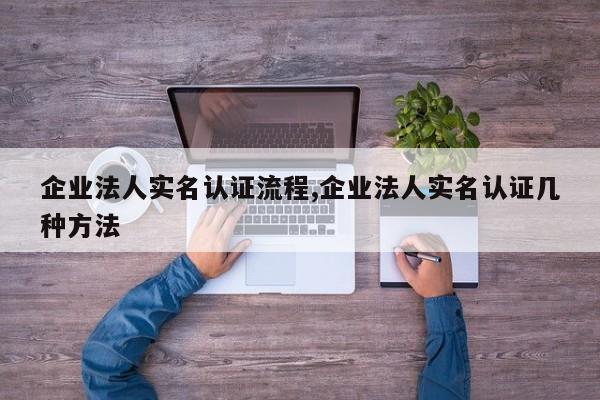 企业法人实名认证流程,企业法人实名认证几种方法