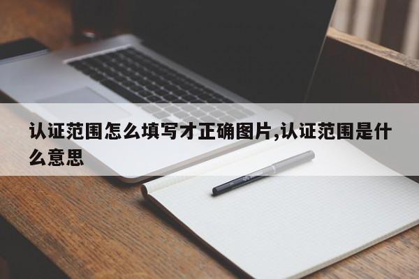 认证范围怎么填写才正确图片,认证范围是什么意思