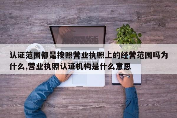 认证范围都是按照营业执照上的经营范围吗为什么,营业执照认证机构是什么意思